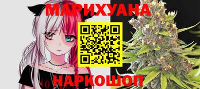 индика Котовск