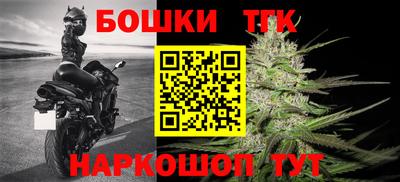 индика Котовск