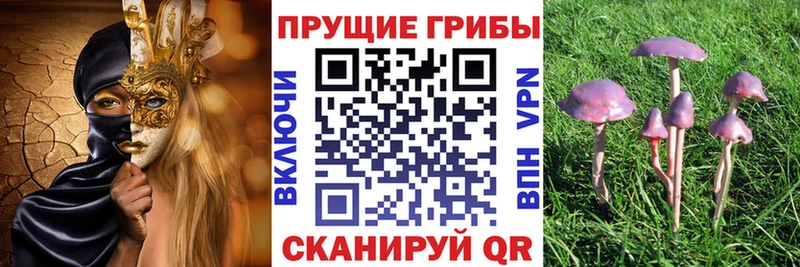 Псилоцибиновые грибы прущие грибы  Мегион 