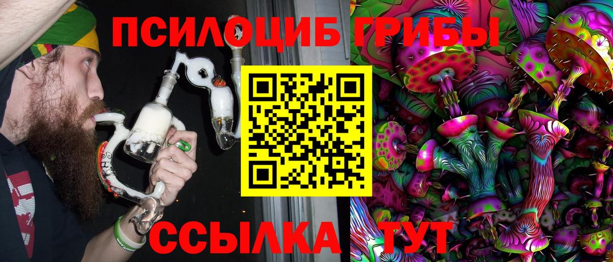 Псилоцибиновые грибы Cubensis Мегион
