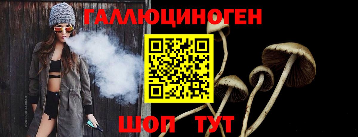 Псилоцибиновые грибы GOLDEN TEACHER  Вход с VPN  Галлюциногенные грибы Psilocybine cubensis  как найти наркотики  Мегион 